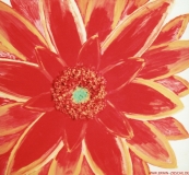 Blume