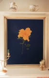 Gelbe Rose auf blauem Grund *