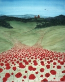 Klatschmohn in der Provence *