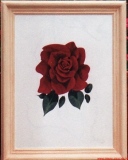 Rose auf weißem Marmor