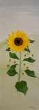 Sonnenblume in Aquarell auf Acryl *