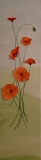 Klatschmohn in Aquarell auf Acryl, *